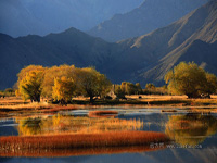 B8：拉薩、珠穆朗瑪峰、古格王朝、神山圣湖20日之旅