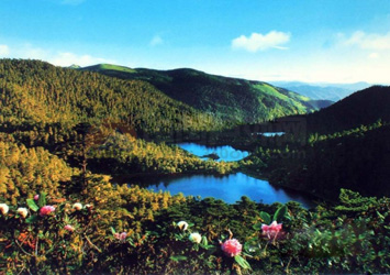 D5：成都、海螺溝、瀘沽湖、麗江、大理11日豪華游