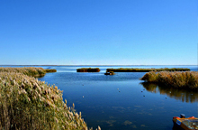 C2:川藏北線成都、若爾蓋、青海（西寧）、拉薩9日游