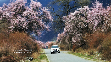 成都租車(chē)自駕旅游亮相繽紛五月